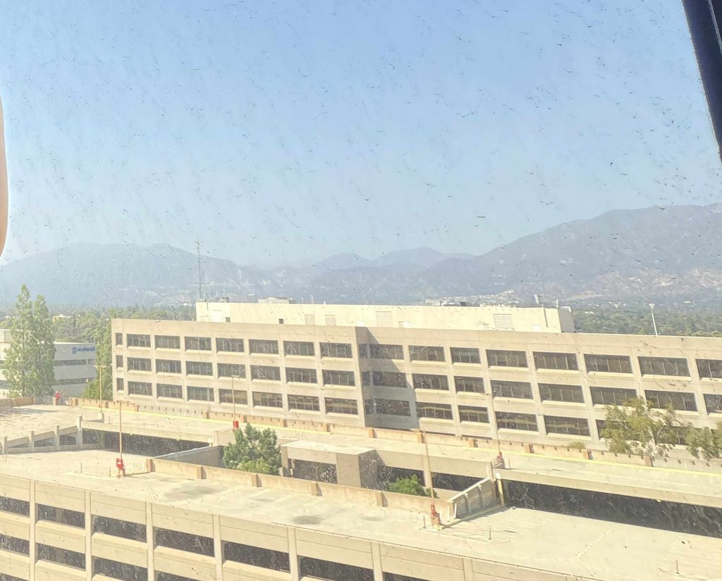 Westin Pasadena窓の景色